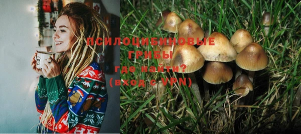 мяу мяу мука Михайловка