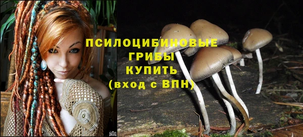 винт Медногорск