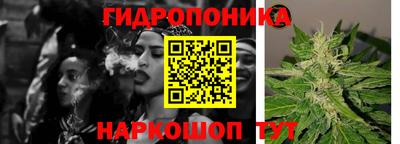 эйфоретик Жуковский