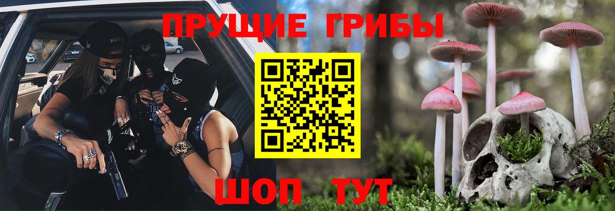 Туапсе  Галлюциногенные грибы ЛСД  Вход с VPN  Галлюциногенные грибы Cubensis 