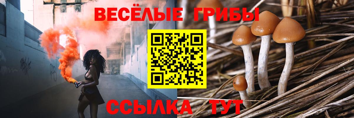 Галлюциногенные грибы Magic Shrooms Туапсе